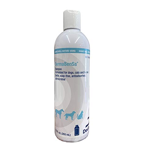 Pet Shampoo for Skin & Coat Care - 12oz Soap-Free Pet Grooming
