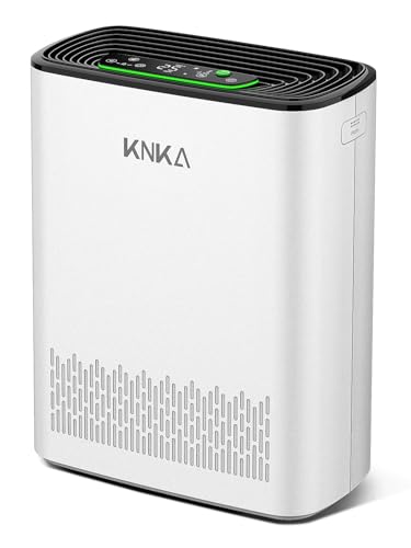 Large Room Air Purifier for Home Up to 1147 Sq Ft - HEPA Filter, Auto Mode