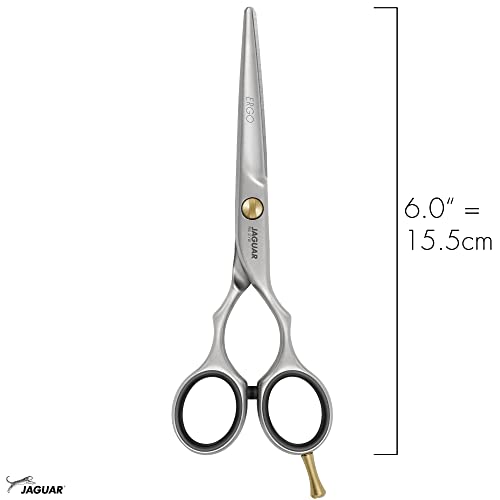 Professional 6-Inch Hairdressing Shears - Stainless Steel Salon Scissors, Satin Finish, German Made