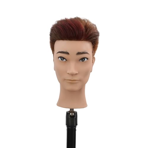 Stancia Dark Brown Male Mannequin Head with 100% Human Hair for Hairdressing Practice