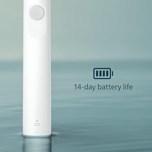 Electric Toothbrush DailyClean 1100 with QuadPacer & Smartimer - Mint Blue
