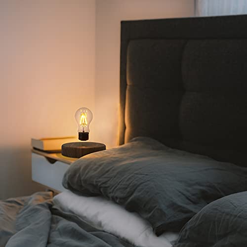 HCNT Levitating Bulb Lamp Magnetic Floating LED Desk Light - 360° Rotation, Night & Room Decor, Variation 1