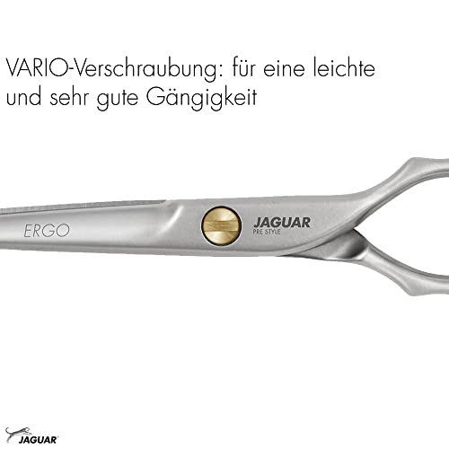 Professional 6-Inch Hairdressing Shears - Stainless Steel Salon Scissors, Satin Finish, German Made