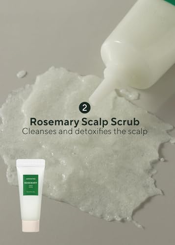 Travel Rosemary Hair Care Kit - Scalp Scrub, Shampoo & Oil Set