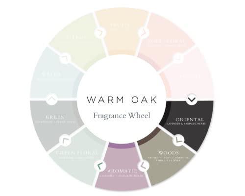 Gilchrist & Soames Warm Oak Hand & Body Lotion 9oz - Natural Essential Oils, All Skin Types, Paraben & Sulfate Free - Pack of 1