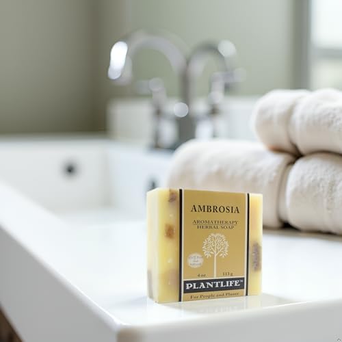 Ambrosia Natural Vegan Bar Soap 6-Pack - Handcrafted 4 oz