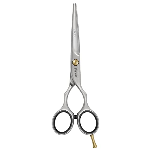 Professional 6-Inch Hairdressing Shears - Stainless Steel Salon Scissors, Satin Finish, German Made
