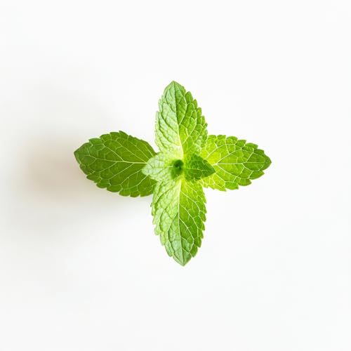 Peppermint Organic Mouthwash - All Natural & Fresh Breath, 32 Fl Oz