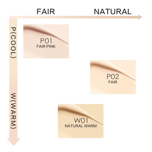 CARSLAN Lasting Air Cushion Cream Face Foundation Makeup, Lightweight, Medium to Full Coverage, Semi-Matte, Long-Lasting Oil Control Finish Foundation, P01 Fair Pink For Oil Skin (Refill Included)