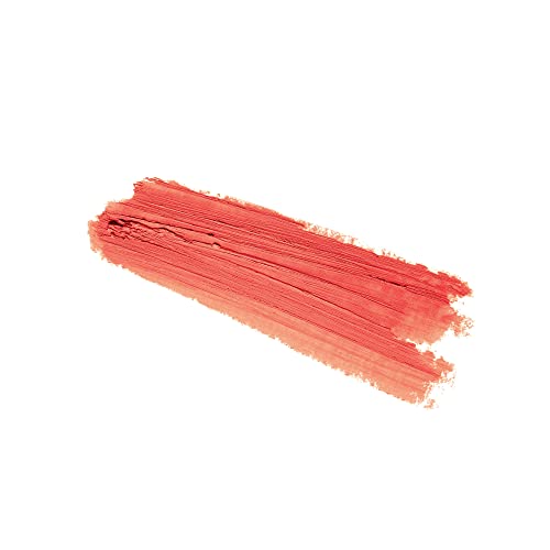 PRO LASHBEAUTY Premade Fans Eyelash Extensions 5D-D-0.10-11: 3D 5D 7D Volume Lash Extensions 9 to 20 mm Black Vegan Pair
