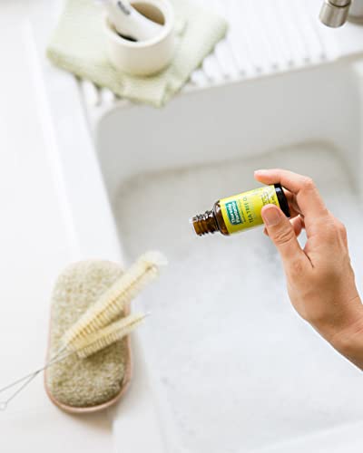 Pure Tea Tree Oil - 25ML Natural Antiseptic for Skin & Home Use
