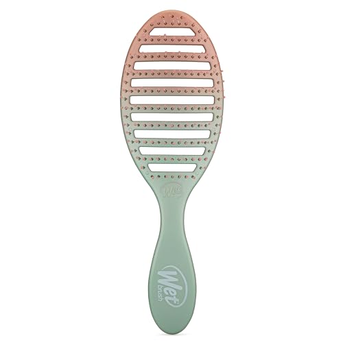 Wet Brush Speed Dry Hair Brush Feel Good Ombre