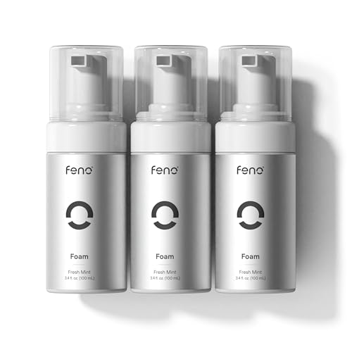 Foam Toothpaste with Mint - Fluoride & SLS Free, 3-Pack, 3.4 Fl Oz