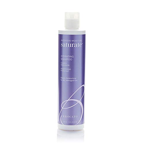 Hydrating Moisturizing Hair Shampoo - 10 Oz for Dry & Damaged Hair