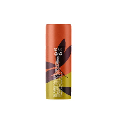 BIO SPECTRA Attitude Mango SPF 15 Lip Balm - Plastic-Free, Vegan, Reef-Safe (3 x 0.3 oz)