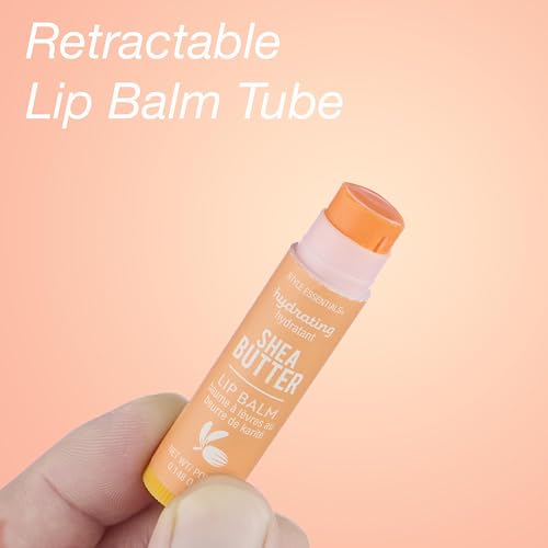10pc Lip Balm Collection -Hydrating Lip Balms Infused- Enriched Lip Balm Set