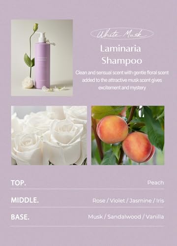 Laferme Laminaria Organic Clarifying & Hydrating Shampoo with White Musk - 16.9 Fl Oz