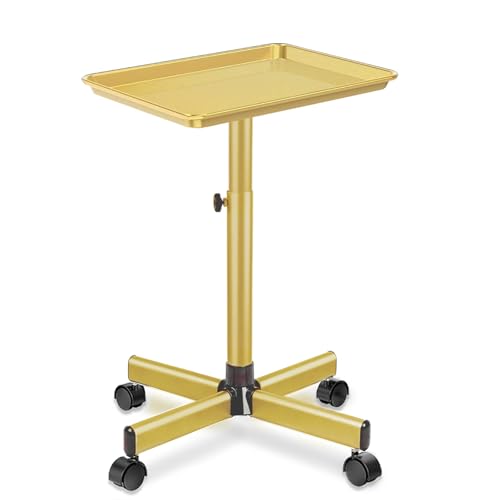 Salon Tray on Wheels Tattoo Rolling Tray Salon Service Cart Height Adjustble Hair Service Color Tray Gold