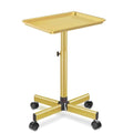 Salon Tray on Wheels Tattoo Rolling Tray Salon Service Cart Height Adjustble Hair Service Color Tray Gold