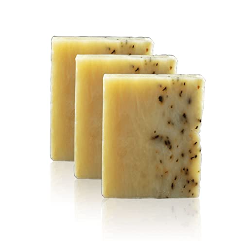 Men's Mint Exfoliating Soap Bar 3 Pack - Handmade with Tea Tree, Coconut & Olive Oil