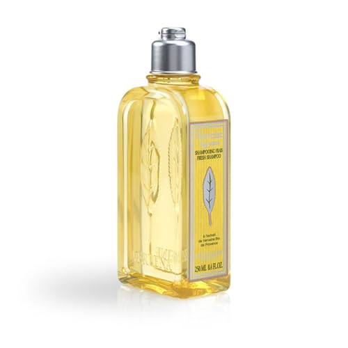 L'Occitane Citrus Verbena Fresh Shampoo 8.4 fl oz - Gentle, Purifying Hair Care