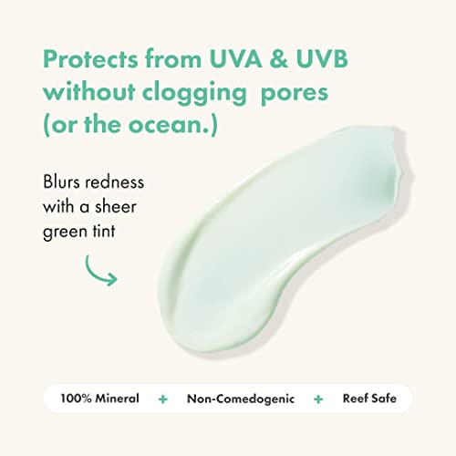 SPF 30 Sunscreen Pack of 2 - Lightweight, Fragrance-Free Face Sunscreen with Zinc Oxide 1.69 Fl Oz