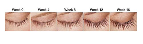 Spectaculash Lash Growth Serum 0.1 Oz - Prostaglandin-Free Peptide Formula