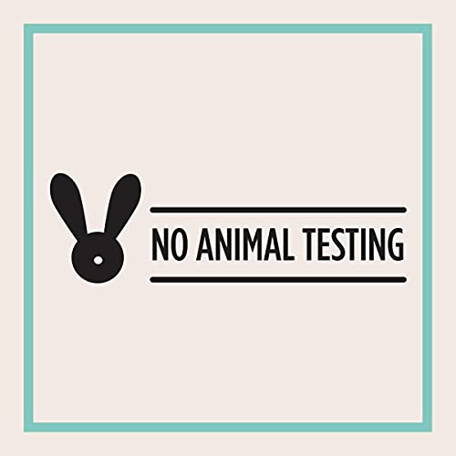 Carmex Comfort Care Lip Balm Stick with Beeswax, Peppermint Lip Balm - 0.15 OZ Each, 2 Count
