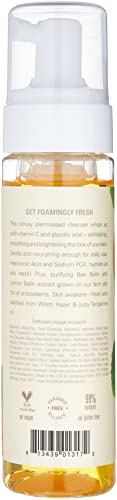 FarmHouse Fresh Foaming Facial Cleanser with Hyaluronic Acid & Vitamin C - 1.7 Fl Oz