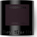 Boy Smells Woodphoria 27oz Candle – Coconut Water, Fig Leaves, Sandalwood
