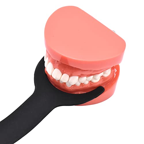 2 Pieces Silicone Orthodontic Photography Contraster - Flexible Dental Background Board C1+C2