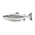 Kikkerland Fish Magic Soap - Odor-Removing Hand Soap (Fish Scent) - 5 x 1.25 x 3.375 in