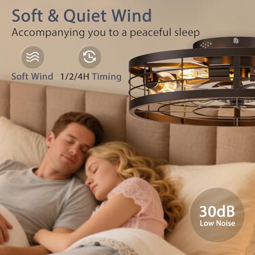 Black 19.7 Inch Caged Ceiling Fan with Light Remote Control Farmhouse Style