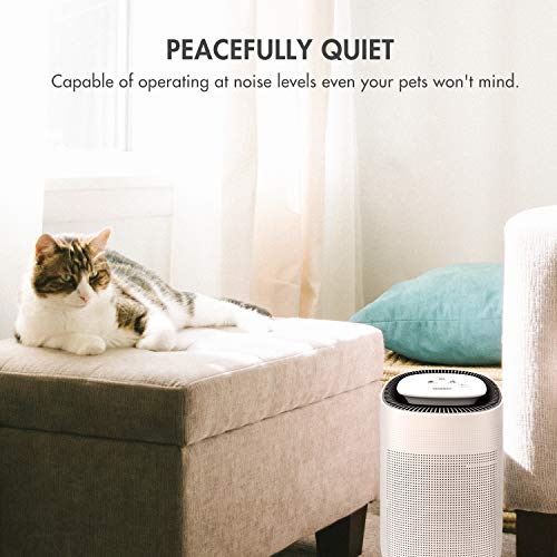 Tenergy Sorbi 1000ml Air Dehumidifier & Air Purifier with HEPA Filter, Auto Shutoff, Touch Control, Ultra-Quiet - Ideal for Closets & Bathrooms