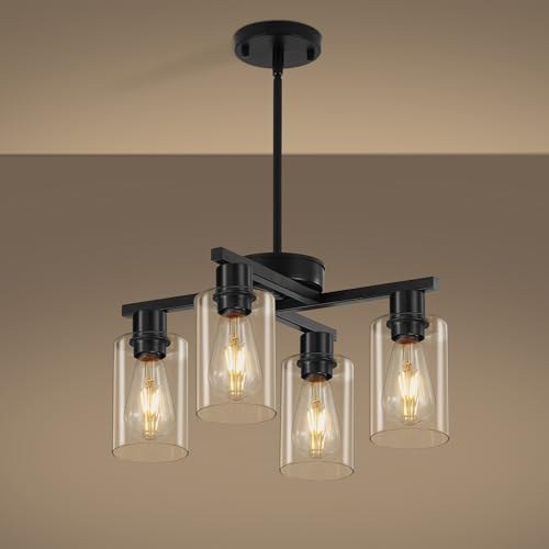 Black Farmhouse Chandelier 4-Light D18 Adjustable Pendant Lighting - Xeruyiwa