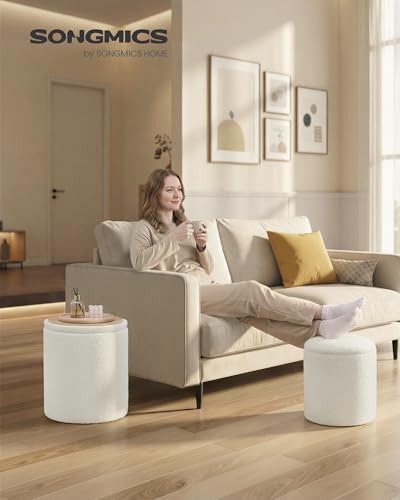 Vanity Stool Set of 2 - Round Storage Ottoman with Teddy Fleece, White Variation