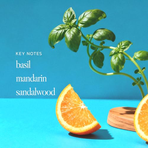 Noteworthy n,307 Sunlit Grove Body Butter ? Mandarin, Basil & Sandalwood | Ultra-Rich Hydrating Body Cream for Soft, Silky Skin | Luxurious Fast-Absorbing Moisturizer