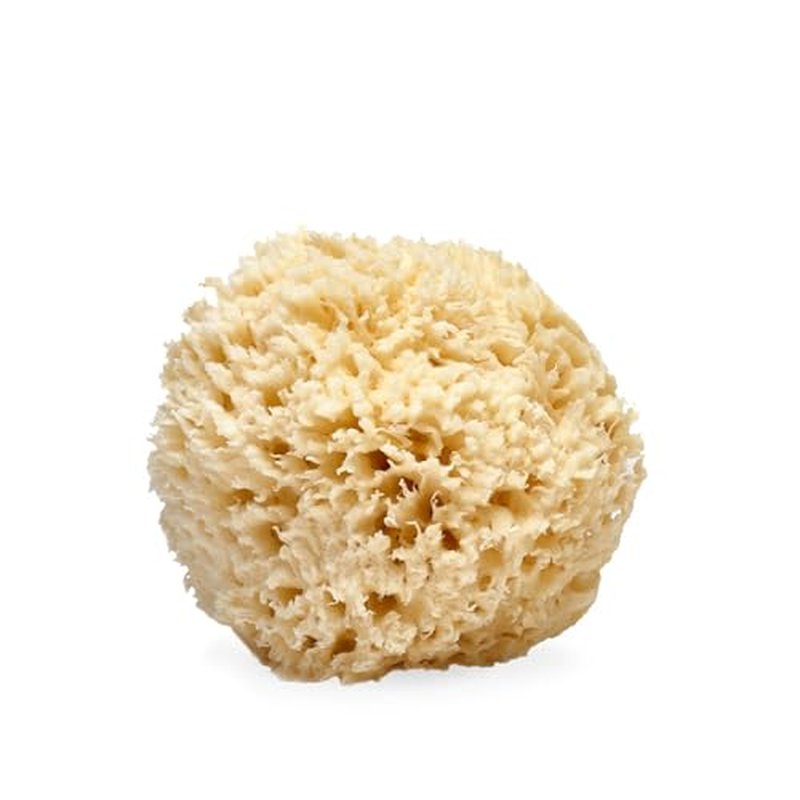 LATHER - Natural Sea Wool Sponge, 4-5" - Organic Exfoliating Body Scrubber - Soft, Gentle Cleansing - Hypoallergenic - All Skin Types - Florida Natural Loofah Sponge - Cruelty Free - Beauty & Skincare