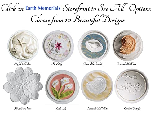 Large Biodegradable Shell Urn for Water and Ground Burial - Eco-Friendly Cremation Ash Container - 300 Cubic Inches, Metallic White Swirl