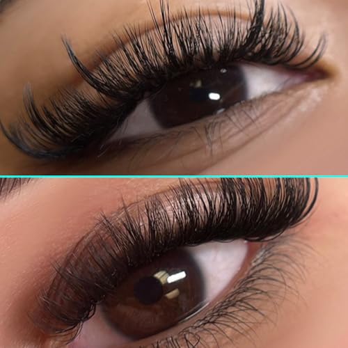 VAVALASH Cashmere Easy Fan Lashes 0.03 0.05 0.07 C/CC/D/DD Volume Lash Extensions 8MM-20MM Matte Black Self Fanning Eyelash Extensiones, Professional Supplies for Lash Artists (D-0.05,8-15mm)