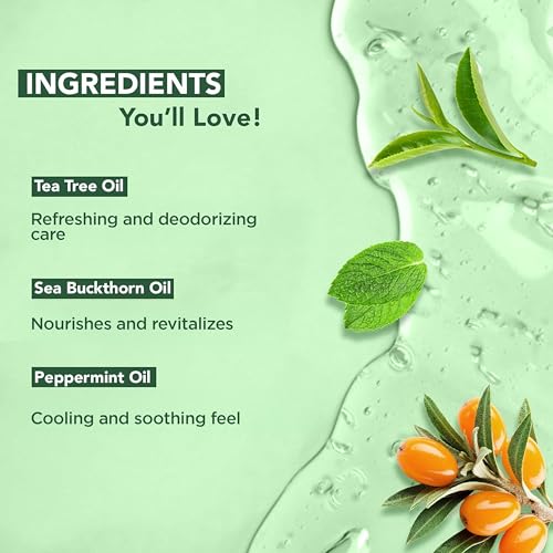 Botanic Hearth Tea Tree Body Wash & Shower Gel Pack of 2 - 16 Fl Oz Each - Refreshing & Gentle for Daily Use