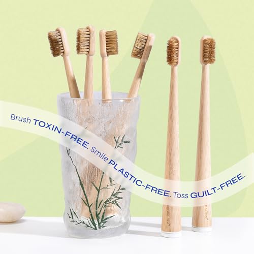 Boar Bristle Bamboo Toothbrush - Natural Plastic-Free Eco-Friendly 6 Pack - Variation of Boar Bristle Bamboo