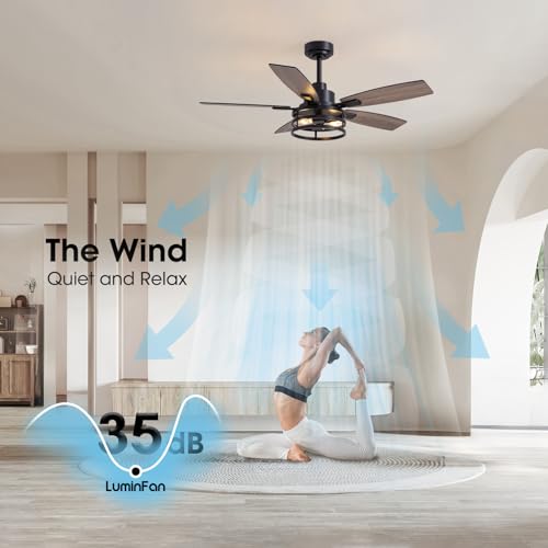 LuminFan Black 46-Inch Ceiling Fan with Lights & Remote Control for Indoor & Outdoor