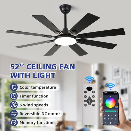 Fanyamei 52-Inch Black Ceiling Fan with Lights & Remote, Modern Farmhouse Reversible Blades