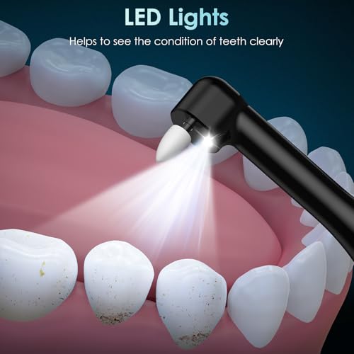Rechargeable Teeth Polisher with 5 Brush Heads, 4 Modes, LED Light, Whitening