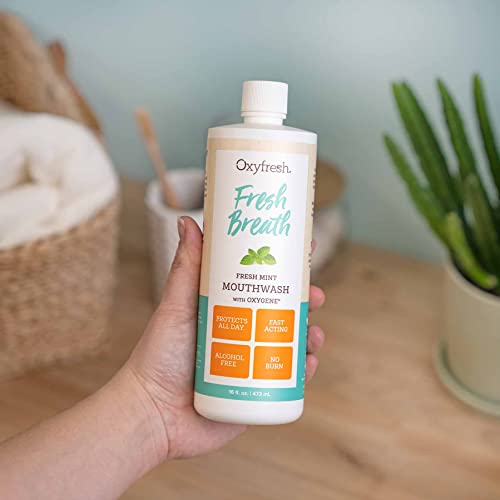 Oxyfresh Premium Fresh Mint Mouthwash 16 Fl Oz Pack of 3 - Alcohol-Free, Light Flavor, Zero Burn