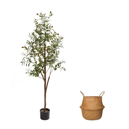 AzureLeap 5FT Artificial Olive Tree with Moss & Basket – Realistic Indoor Olive Silk Tree for Home & Office
