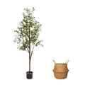 AzureLeap 5FT Artificial Olive Tree with Moss & Basket – Realistic Indoor Olive Silk Tree for Home & Office