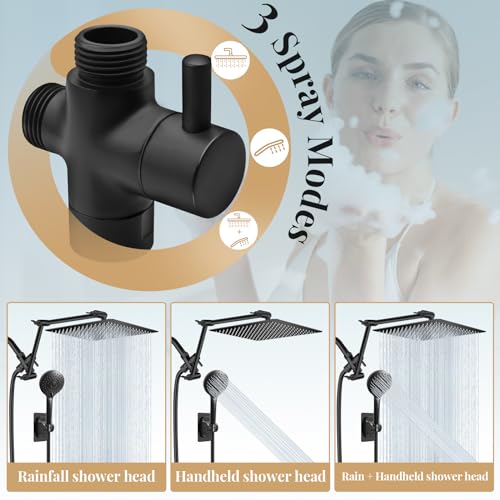 Black Rain Shower Head with Handheld Spray & 16-Inch Extension Arm