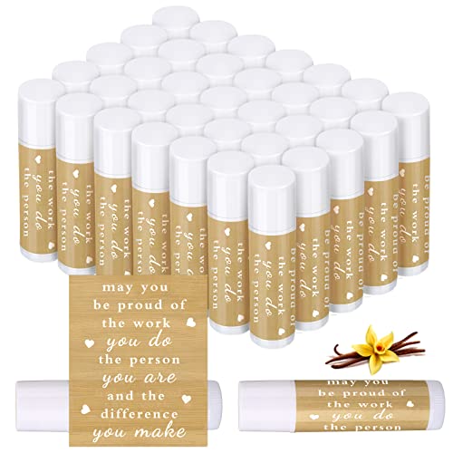 Demissle 100 Pcs Lip Balm You're The Balm Teacher Appreciation Gift Thank You Lip Bulk Teacher Staff Team Party Favors or Women Men Volunteer